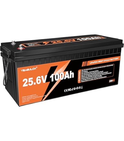 2 Packs 12V 100Ah Mini Max LiFePO4 Battery 100A BMS 1280Wh Lithium