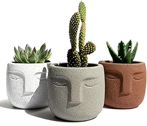 Gepege Succulent Plants Pot Set of 3, Concrete Head Planter for Home Office Desk Decoration, Modern Indoor/Outdoor Cement Statue Face Vase (3 Inch)