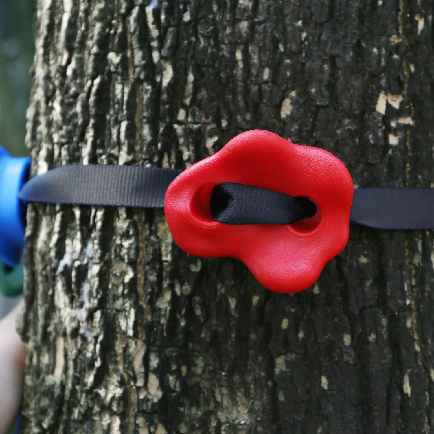 Odoland Ninja Tree Climbers, 12 Kids Rock Climbing Holds with 6 Sturdy Ratchets Straps for Outdoor Ninja Warrior Obstacle Course Training for Child and Adult: Sports & Outdoors