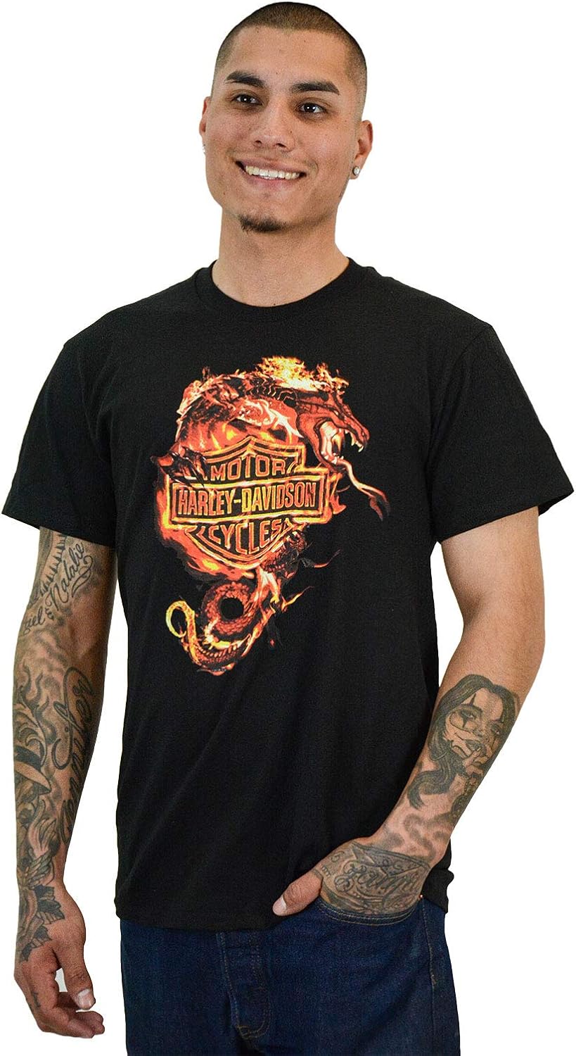 Amazon Com Harley Davidson Mens Ironside Ride Fire Dragon Black Short Sleeve T Shirt Large Clothing