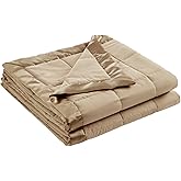 Madison Park Windom Down Alternative Blanket, Premium 3M Scotchgard Moisture Wicking Treatment, Lightweight and Soft Bed Cover For All Season, Satin Trim, Brown Twin