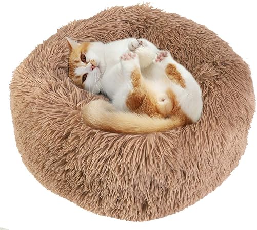 calming cat bed uk