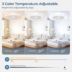 Modern Ceiling Fans with Lights - 19 inch Low