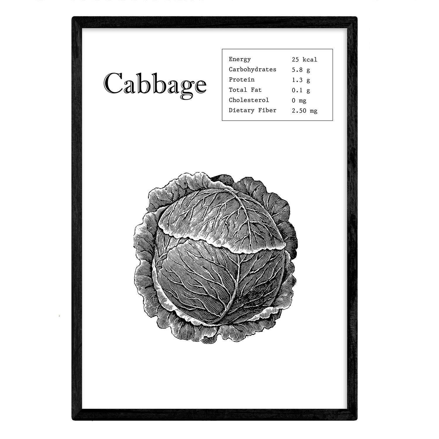 Nacnic Poster Cabbage. Sheets of fruits and vegetables in English. A4 size