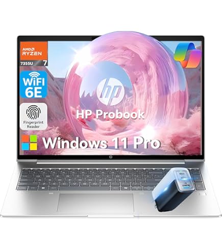 Amazon.com: HP ProBook 465 G11 16