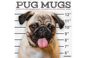 Willow Creek Press, Pug Mugs 2026 Wall Calendar, 12'' X 12'', 18-Month Calendar with Stapled Binding