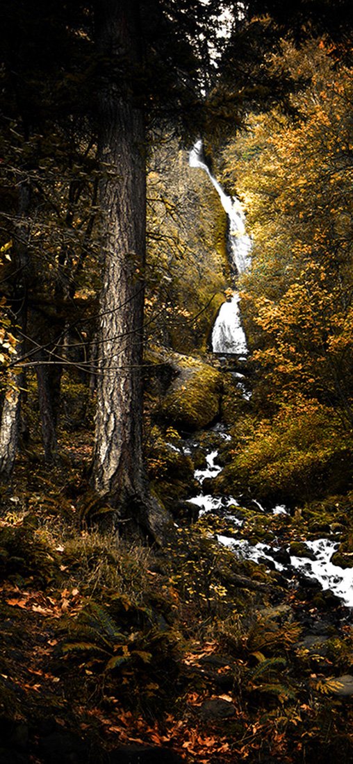 PeelitStickit, Beautiful Nature Wall Murals, ID-1235, vinyl