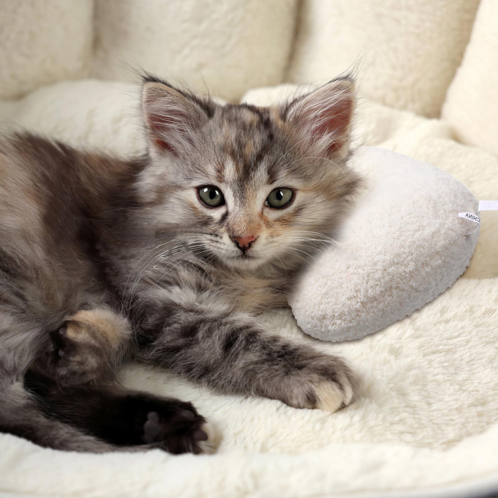 View 3