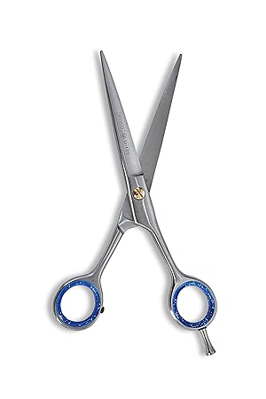 Danial Professional SALON BARBER SCISSOR for HAIR CUTTING RAZOR EDGE SCISSORS/SHEARS/High Grade Stainless Steel 6.5