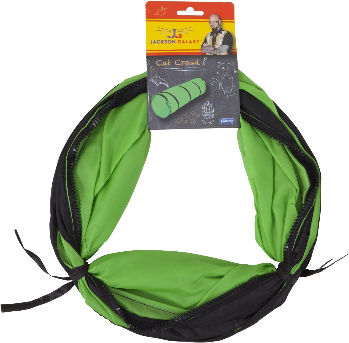 dogs needing foster homes near me