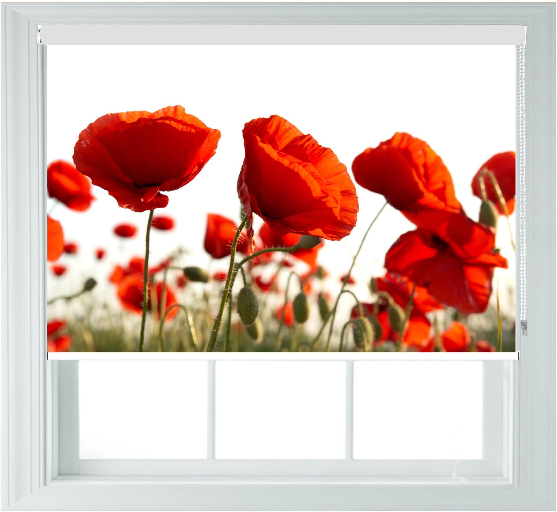 Red Poppys Various Sizes Black Out Roller Blinds for Bedrooms Bathrooms Kitchens and Caravans AOA® (poppy 5ft)
