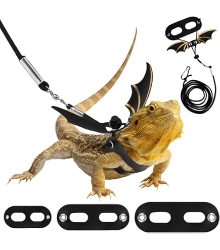 Bearded Dragon Waterfall Electric Bearded Dragon Bathtub Kit With
