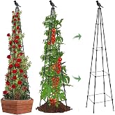 MYMULIKE 2Pack Garden Trellis for Climbing Plants Outdoor Indoor Pot 67'' Cucumber Trellis for Climbing Plant Support for Climbing Vegetables Plants Garden Obelisk Trellis Tomato cage &amp; Climbing Rose