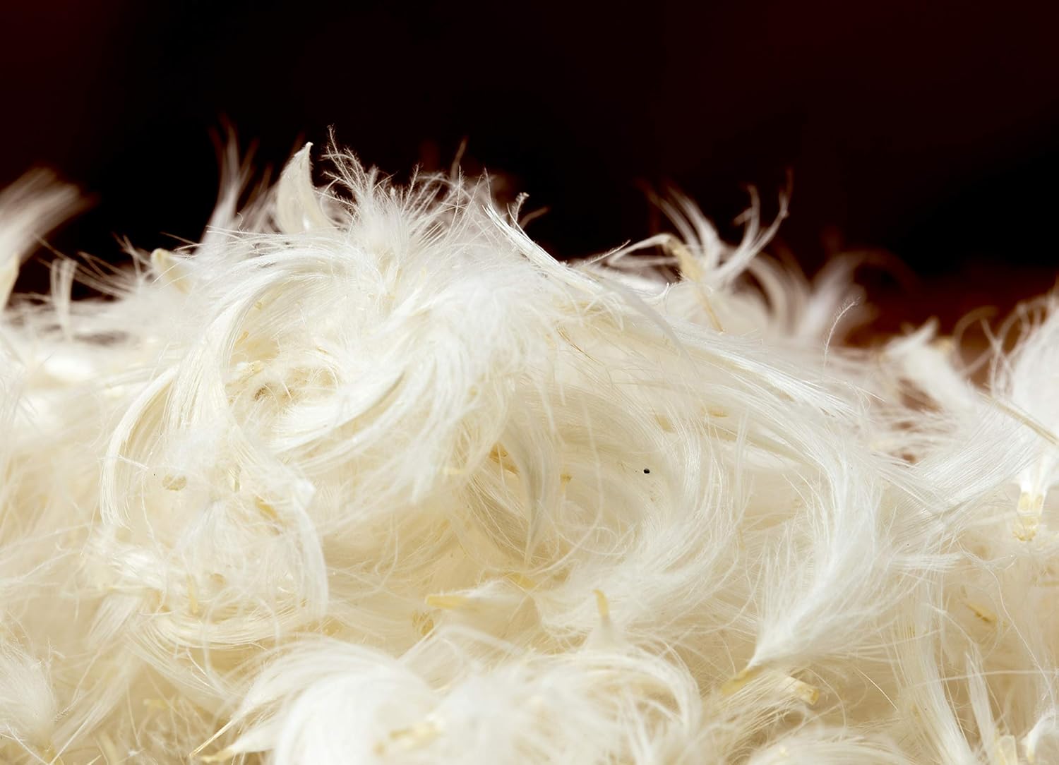 Amazon Com Goose Down Feather Stuffing Fill Bulk 10lb Bag