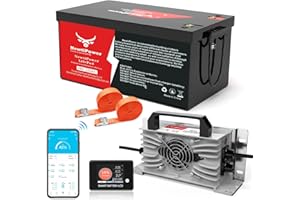 48V 100Ah Golf Cart LiFePO4 Lithium Battery 200A BMS,NewtiPower 10000+ Deep Cycle Lithium Iron Phosphate Battery Great for Golf Cart, RV, Marine and Off Grid Applications