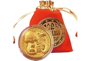 ROSULASI Chinese New Year Decorations 2025 Gold Coins,Lunar Year of The Snake Lucky Coin Traditional Fortune Golden Coins Good Wish Blessing Collectible Fengshui Coins Spring Festival Party Gifts(Gold Coin B)