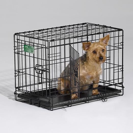 abfab border collies