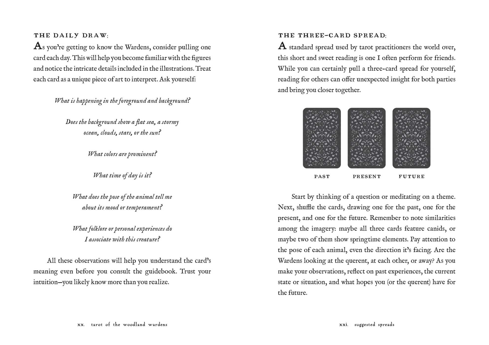 Tarot of the Woodland Wardens: 78-Card Deck & Guidebook Tarot of the Woodland Wardens: 78-Card Deck & Guidebook Product Bundle