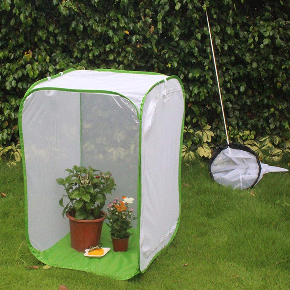 Portable Caterpillar Habitat, Breeding Cage, Habitat, for Backyard Cage Incubator Cultivate Insect(40 * 40 * 60cm)