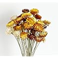 MIHUAGE Dried Flower 40PCS Daisy Bouquet 100% Natural Chrysanthemum Dry Flower for Vase Home décor Party DIY Arrangement Wheat Straw Bulk （Multi-Color）