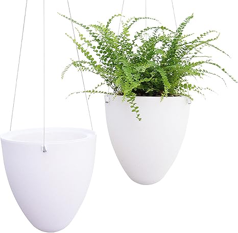 Amazon Co Jp 吊りプランター屋内卵形の植木鉢ぶら下げ鍋プラスチック多肉植物植物の植物の鉢植えの鍋屋外屋外ホームガーデンの装飾 ホーム キッチン