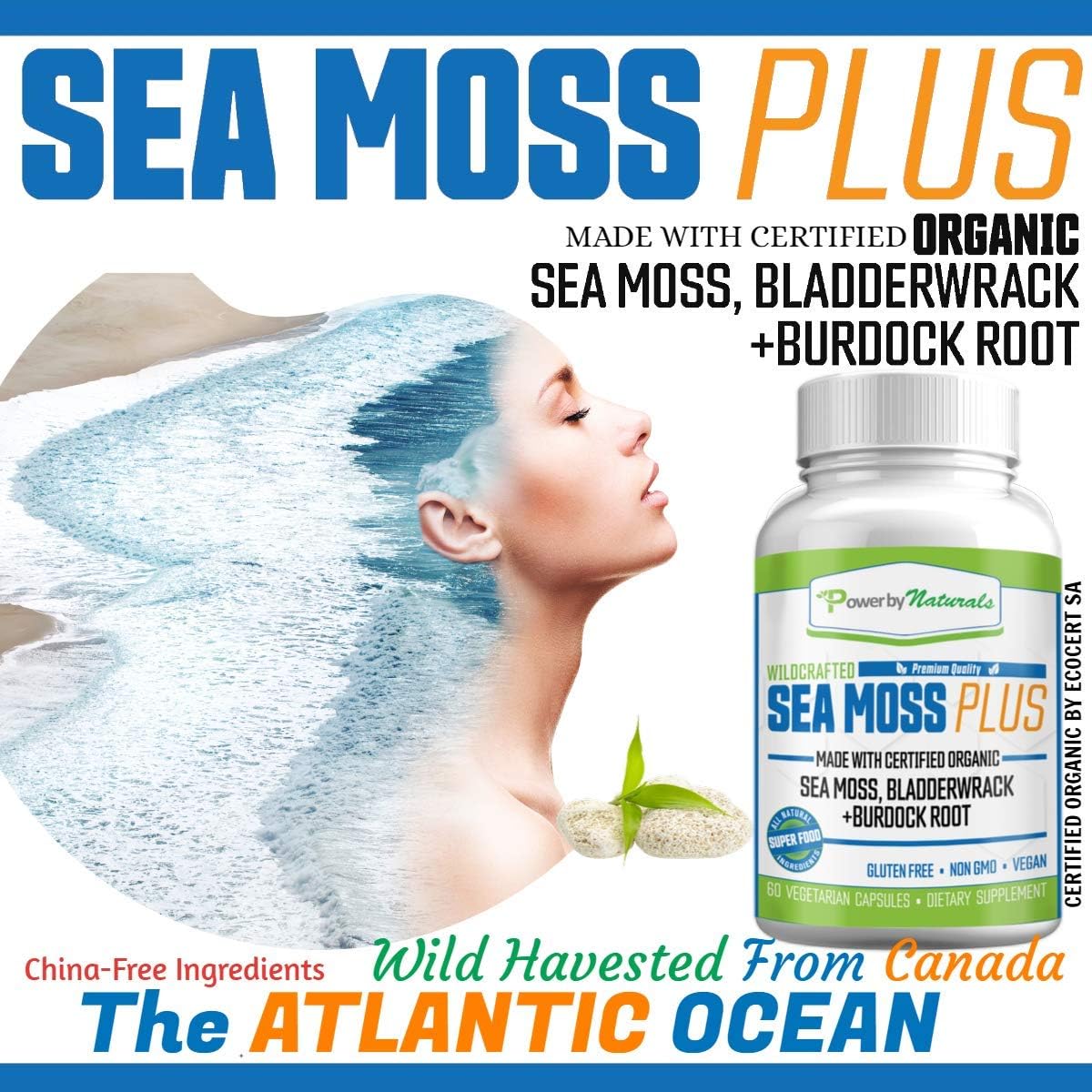 Power by Naturals – Certified Organic Sea Moss Plus – Wildcrafted Irish Sea Moss Bladderwrack Burdock Root – Pure Sea Moss Powder Supplements - No Fillers, Vegan, non-gmo - Seamoss Capsules (60 Pills): Health & Personal Care