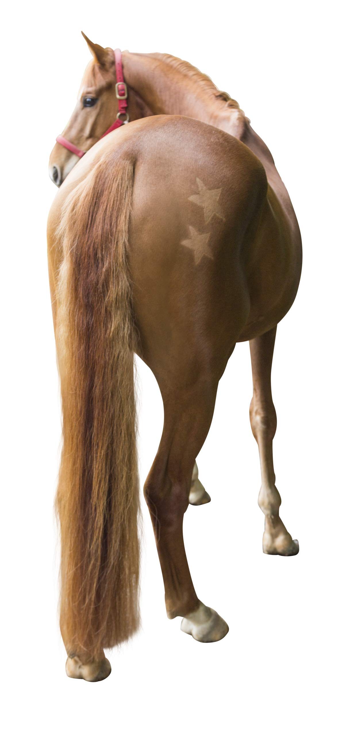 Kerbl 321900 Shearing Stencil for Horses Set of 3