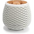 Aromatherapy Essential Oil Wooden Grain Diffuser with Auto Shut-Off Function | Cool Mist Humidifier for Yoga Spa Office Bedroom Home | 120ml (White)