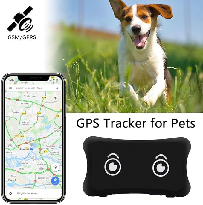 العاب ناريه ربيع مارجريت ميتشل Collier Gps Chien Amazon Dsvdedommel Com