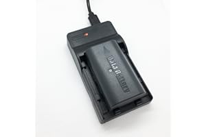 Battery Pack and USB Charger Kit for JVC Everio GZ-HD300AU, GZ-HD300BU, GZ-HD300RU Camcorder