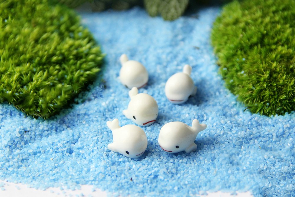 Get Jardin Decoracion De Exterior Cratone 5 Piezas Miniatura Hada Jardin Delfin Adornos Diy Accesorios Micro Paisaje Plantas Ornamentos Casa De Munecas Flor Maceta Suculentas Decoracion Decoracion De Exterior Ellert At Free Get Wallpaper Jardin Decoracion De Exterior Cratone 5 Piezas Miniatura Hada Jardin Delfin Adornos Diy Accesorios Micro Paisaje Plantas Ornamentos Casa De Munecas Flor Maceta Suculentas Decoracion Decoracion De Exterior Ellert At For Android Free