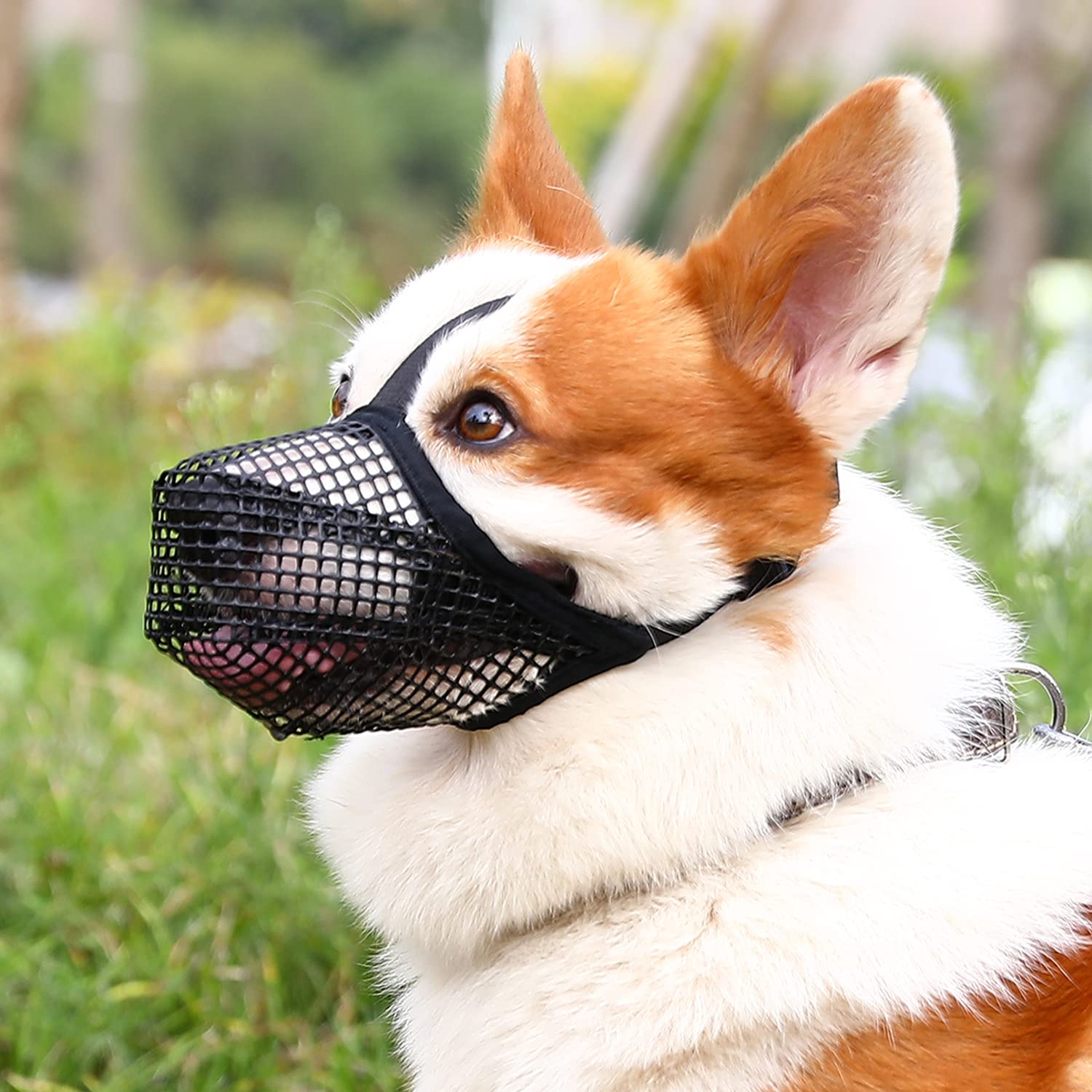 Photo 1 of Crazy Felix Dog Muzzle, Soft Mesh Muzzle for Small Medium Large Dogs Labrador German Shepherd, Breathable Adjustable Mouth Guard for Biting Chewing Scavenging, Allows Panting and Drinking(Black,XS)