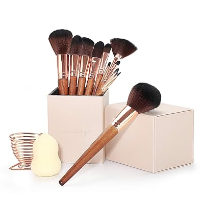 Subsky Professional 12-Piece Travel Makeup Brush Set Nigeria Ubuy