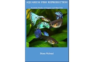 Aquarium Fish Reproduction: Scientific Studies of Guppies and Other Fish