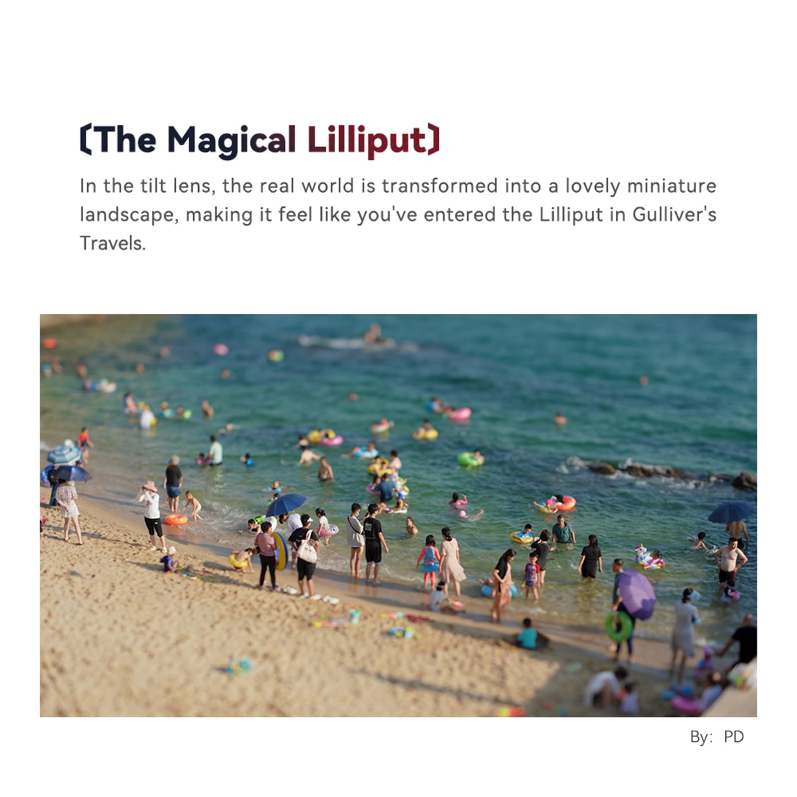 TTArtisan Tilt 50mm f1.4 Lens Full Frame Manual Focus Portrait Lenses Mirrorless Camera for E Mount A7 A7R A7S Series A7C A9 A9II A1 A5100 A6000 A6100 A6400 A6600 NEX-5 NEX-3 Series NEX-7