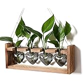 CYZglass Plant Propagation Stations Heart Plant Terrarium Kit Gift for Women Plant Lover Glass Vases