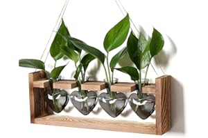 CYZglass Plant Propagation Stations Heart Plant Terrarium Kit Gift for Women Plant Lover Glass Vases