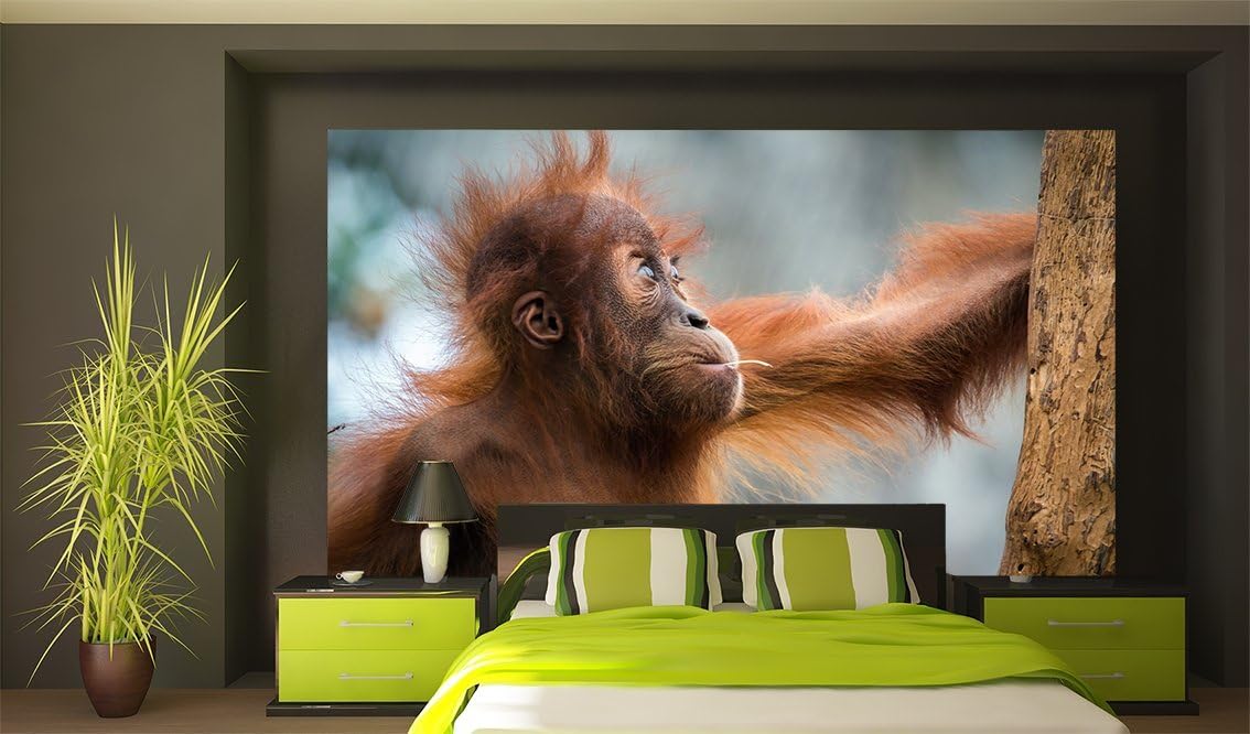 Gorilla Wandbild , Tiere Wandbilder-ID: 159: Amazon.de: Küche & Haushalt