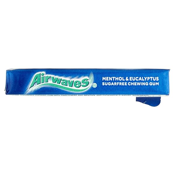 AIRWAVES MENTHOL & EUCALYPTUS SUGARFREE GUM 10 PELLETS – PACK OF 30