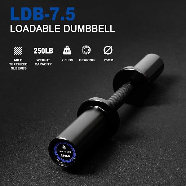 LIONSCOOL 16″ LOADABLE DUMBBELLS PAIRS, SOLID STEEL OLYMPIC DUMBBELL HANDLES FOR 2″ PLATES, HOME GYM STRENGTH TRAINING, INCLUDES 4 SPRING COLLARS