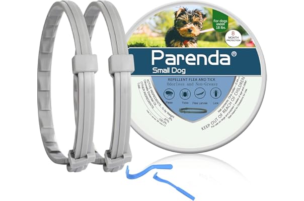 best cheap flea collar