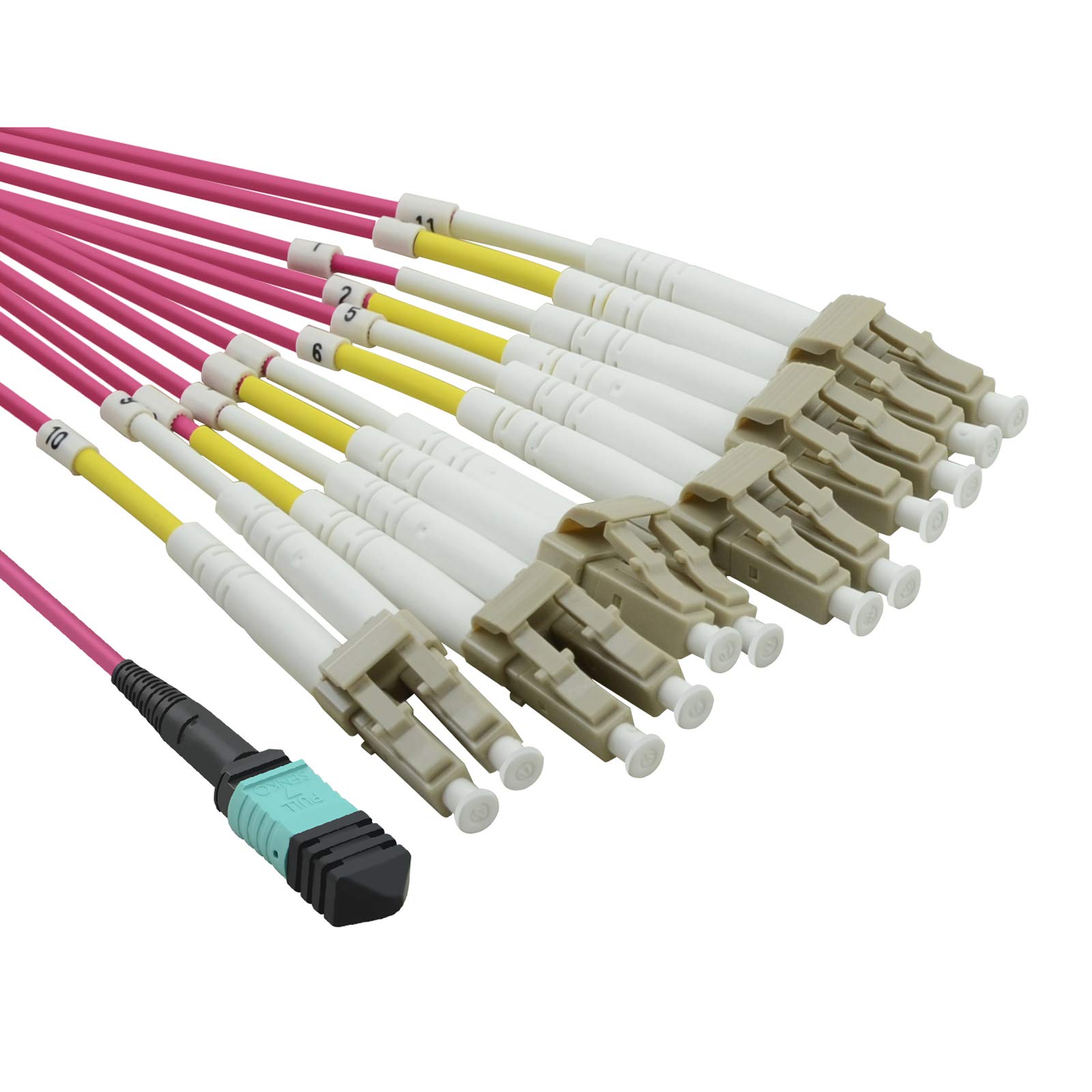 VALUE MPO Fanout Cable 50/125µm OM4 MPO/12x LC Purple 2 m