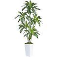 Artificial Dracaena Silk Tree - 5 Feet Tall With White Planter, Fake Yucca Plant For Home/Office Decor, Indoor/Outdoor Use, Housewarming Gift