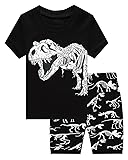 Little Boys Short Pajamas 100% Cotton Dinosaur