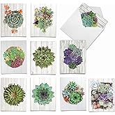 The Best Card Company - 10 Blank Note Cards with Envelopes (4 x 5.12 Inch) - Bulk All Occasion Cards Boxed - Shiplap Succulents AM6438OCB-B1x10