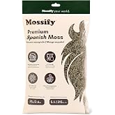 Mossify Preserved Spanish Moss 75g, 2.6oz - Natural Craft &amp; Terrarium Moss | 100% Natural | No Added Dyes | Ready To Use Straight From The Bag