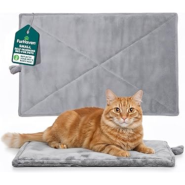 Best Washable Cat Bed: Ultimate Comfort and Easy Cleaning Guide