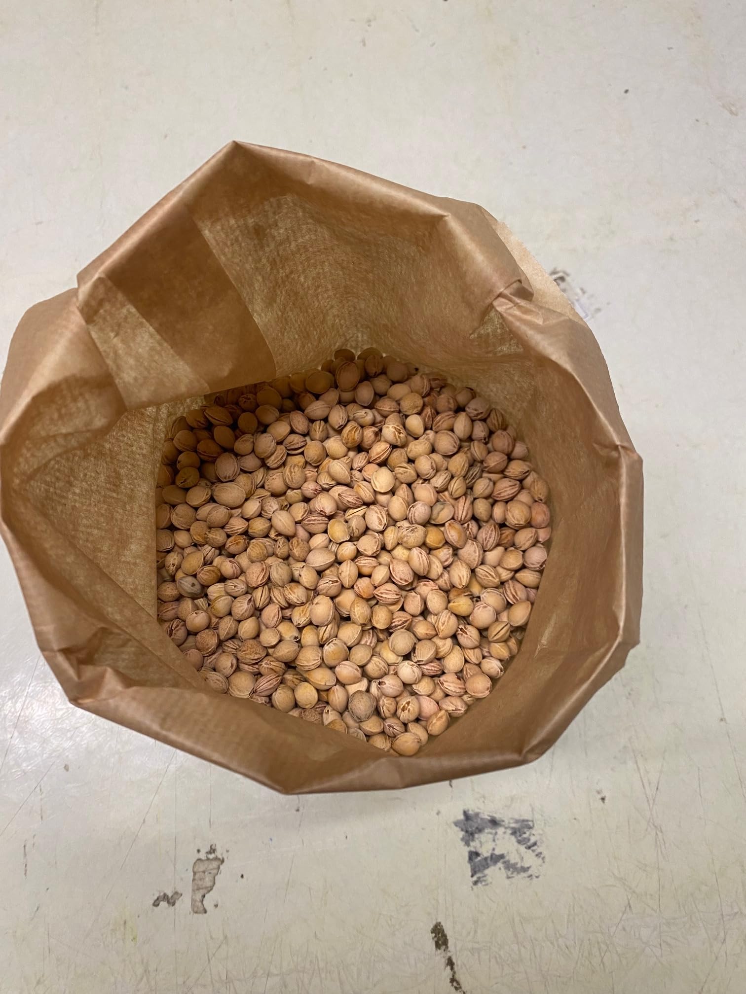 Eigenmarke Loose Cherry Stones 1 kg
