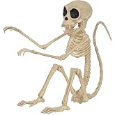 Large Skeleton Monkey