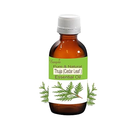 Bangota Thuja (Cedar Leaf) Pure & Natural Essential Oil (Thuja occidentalis) (15 ml (0.50 Oz))